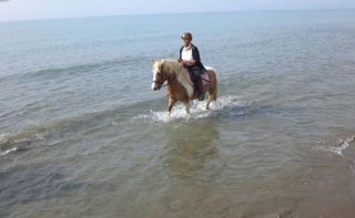 Trekking al mare.jpg